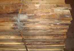 Il legno e il suo deterioramento: l’azione “estetica” dei funghi cromogeni