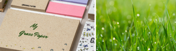 Un'idea nuova per i tuoi quaderni personalizzati? La carta erba!