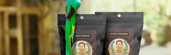 VIA Guatemala Coffee se dispone a cambiar el negocio del café