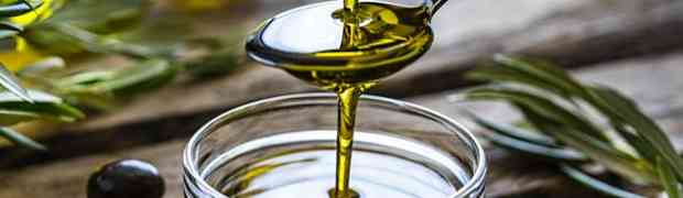Nasce OlivaeNews, il network per promuovere la cultura dell’olio d’oliva