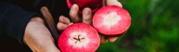 Legamento d'amore con la mela