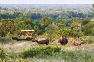 INEOS Grenadier Safari by INEOS Kavango
