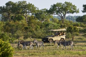 INEOS Grenadier Safari by INEOS Kavango