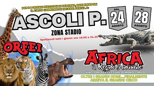 Ascoli Piceno: l’affascinante  e straordinario sogno africano del Circo Paolo Orfei