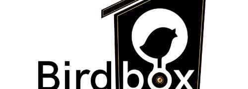 Birdbox Records Label indipendente tra tradizione e innovazione
