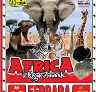 A Ferrara il grande sogno africano dello straordinario Circo Paolo Orfei