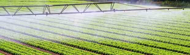 L'Importanza della Nebulizzazione nell'Agricoltura: Innovazione e Progresso